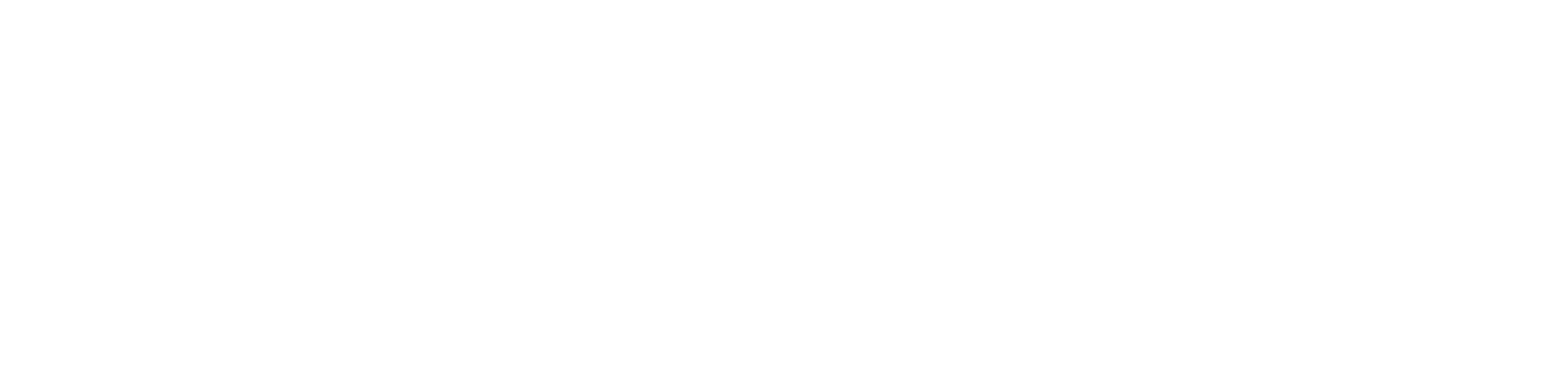 Nodit logo